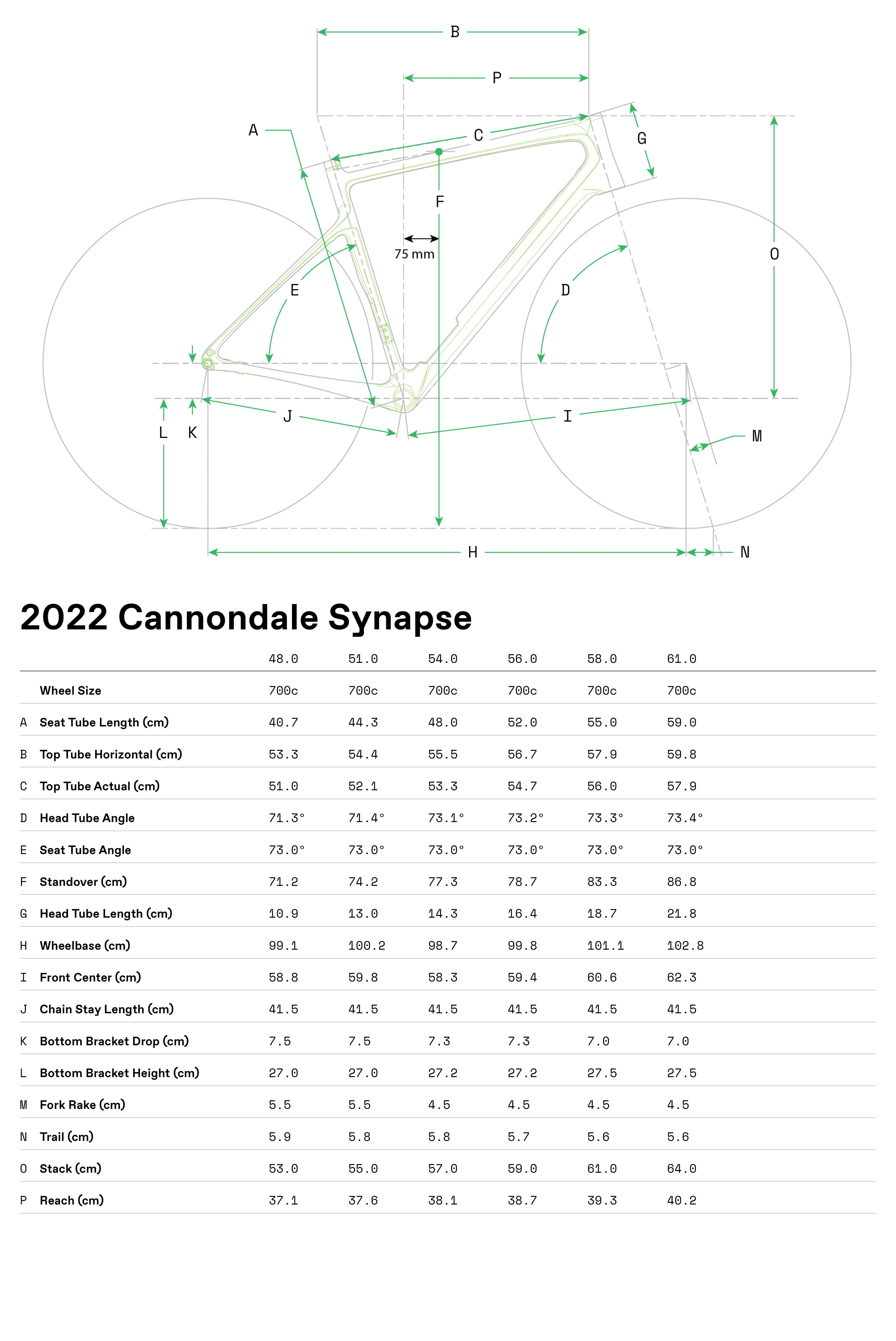 Bicicletas Carretera Synapse Carbon 2 RLE Cannondale 2024 Cool Mint #8