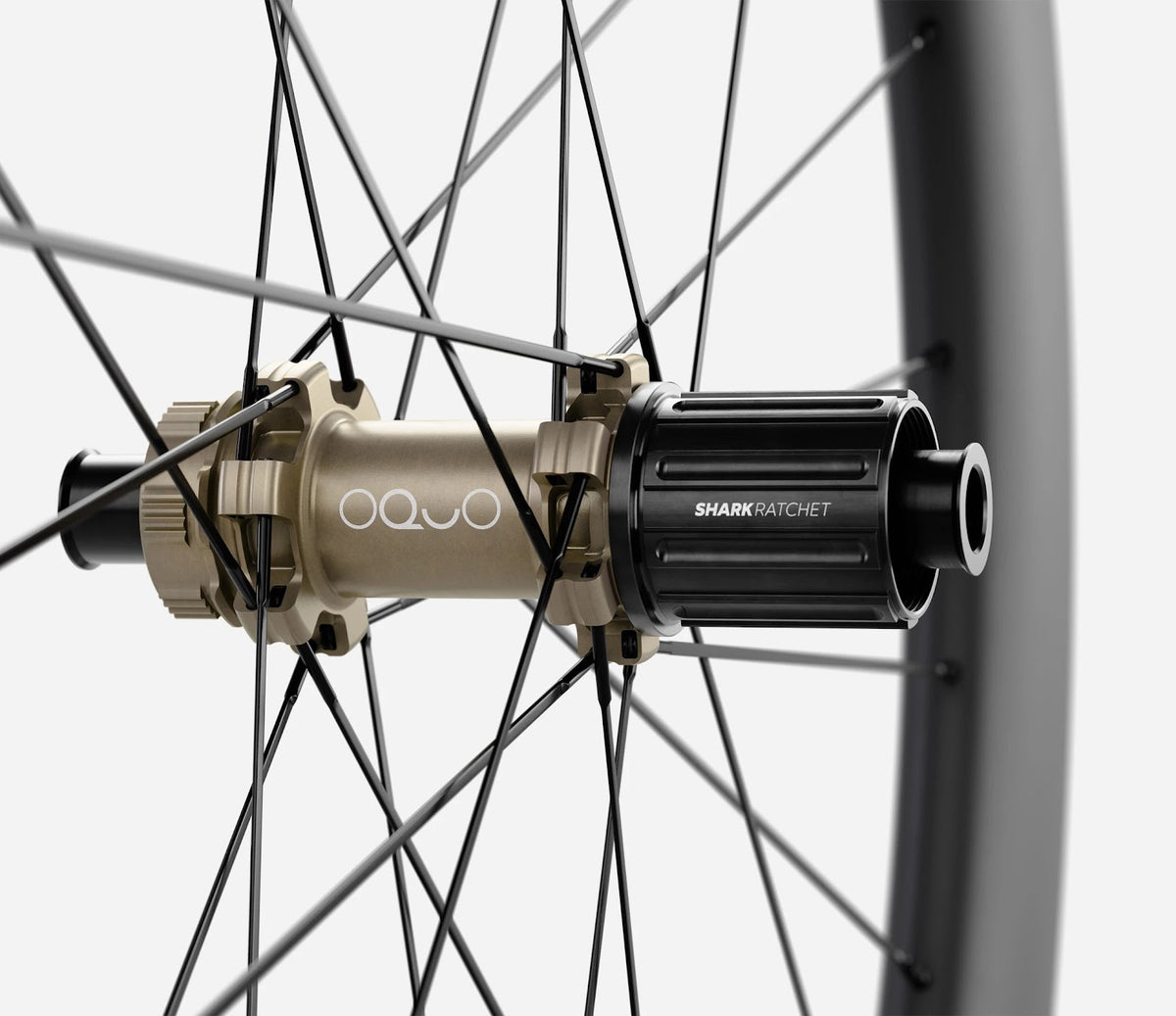 O1770037