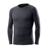 Biotex Merino Långärmad Baslagertröja Grå
