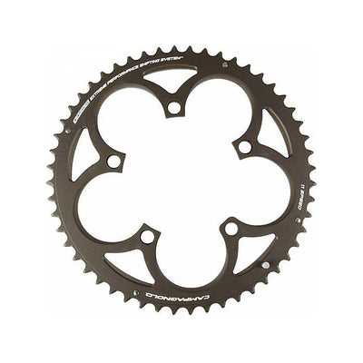 Plato Campagnolo Chorus/Record Gris